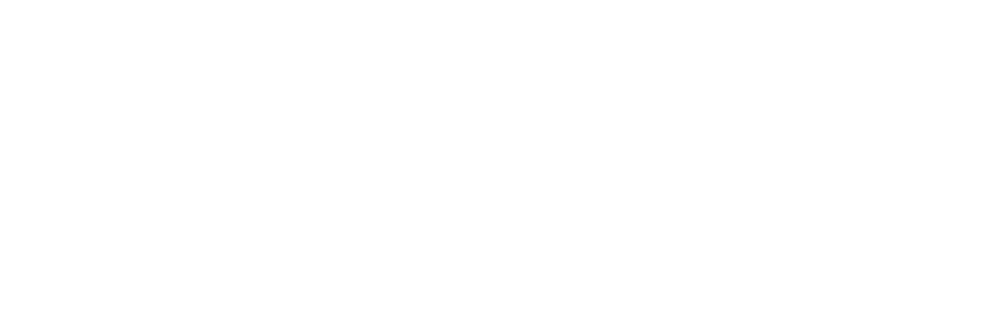 Verbit-logo-RGB_white (1)